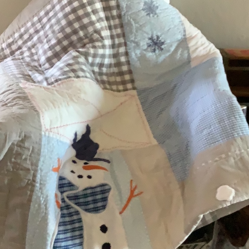 Twin comforter with pillow sham